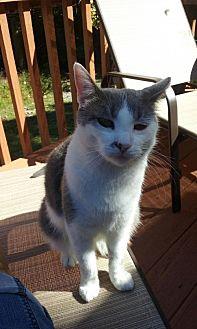 Simon (21518584)