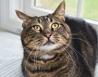 Simon (21532975)