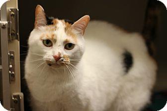 Skeeter (15357112)