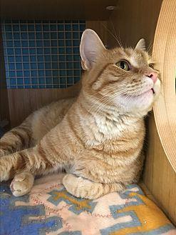 Skipper (21576805)