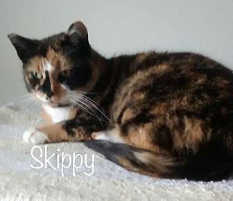 Skippy (20872404)