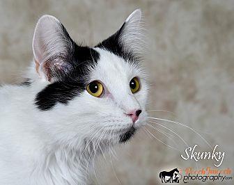 Skunky (21087464)