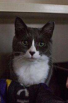 Skye (21354794)