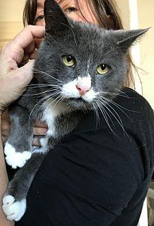 Smokey Ray: (20581798)