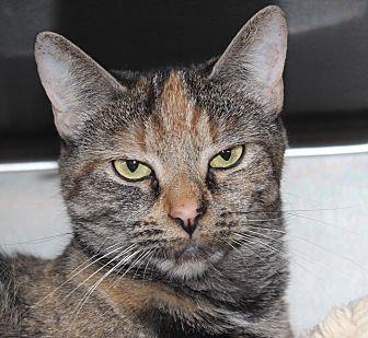 Smudge (21416460)