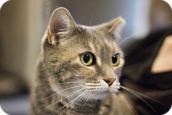Snookie (16393332)