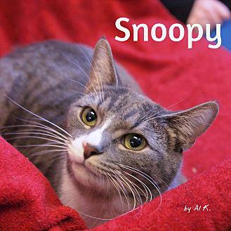 Snoopy (21314602)