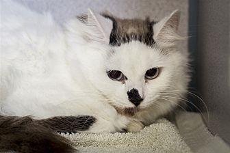 Snowball (21392283)