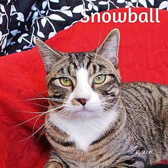 Snowball (21475144)
