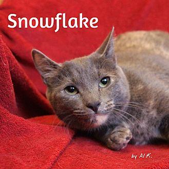 Snowflake (21314605)