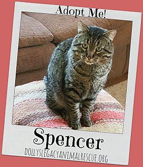 SPENCER – Ha (20320948)