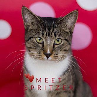Spritzer (18409157)