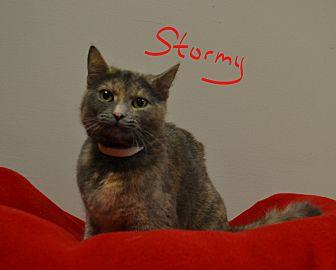 Stormy (21546721)