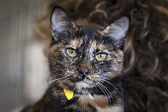 Sue (20936233)