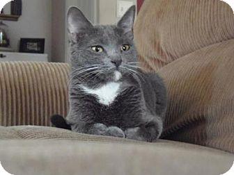 Sweet Pea (16498482)