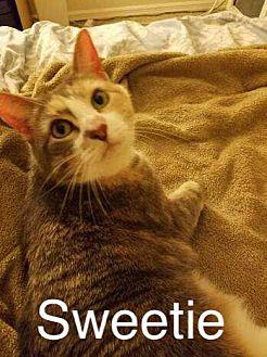Sweetie (21342517)