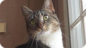 Tabitha (15046184)