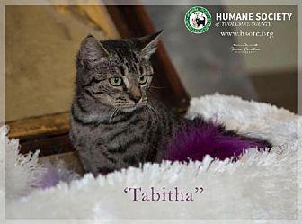 Tabitha (20740675)