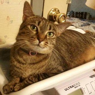 Tabitha: Not (13960446)
