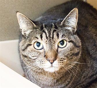 Tater (21209159)