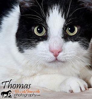 Thomas (21421395)