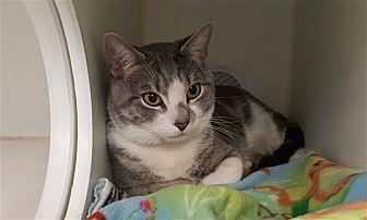 Timmy (21568166)