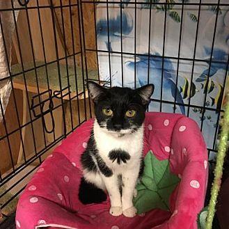 TINA (TINKER (21426176)