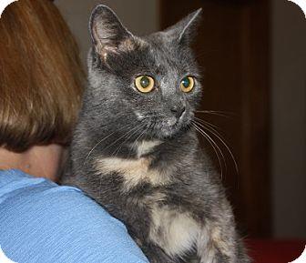 Tink (16373354)