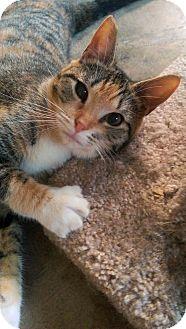 Tiny (15282582)