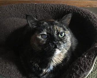 Tiny (21462977)