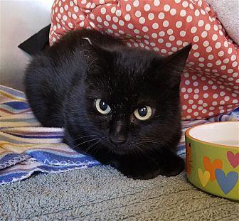 Tippy (21588573)