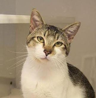 TITO (21520960)