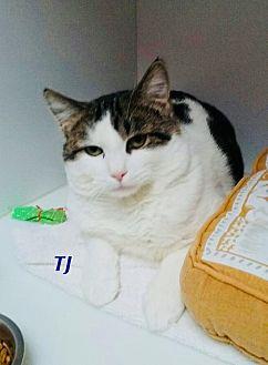 TJ Jr. (20518900)