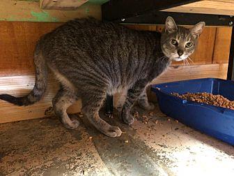 Tobey in CT (21391458)