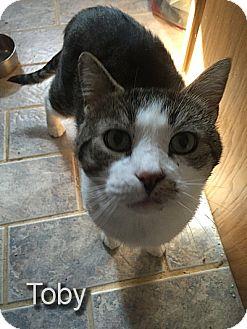 Toby II (12651628)