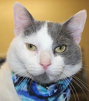TONY (21404243)