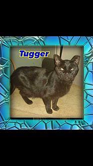Tugger (21249590)