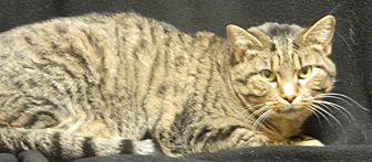 Twix (20967359)