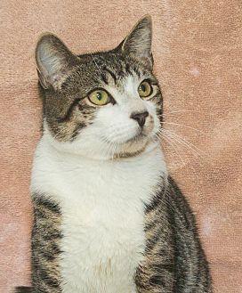 Vinnie (20681745)