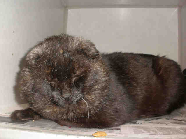 WALLY (A224144)