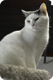 Willow (7773418)
