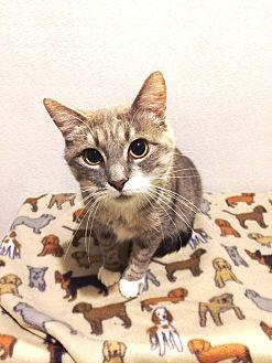 Zoe (21087233)