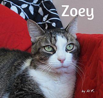 Zoey (21523633)