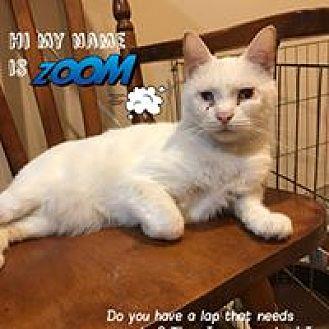 Zoom (19864586)
