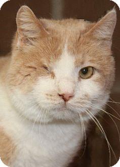 Albert (11256413)