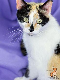 Bella (21679955)