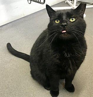 Blacky (21835584)