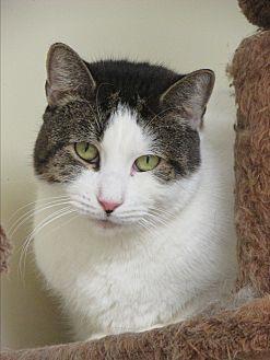 Buddy (20137306)
