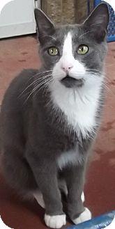 Bugsy (11455464)