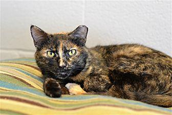 Dolly (21751016)